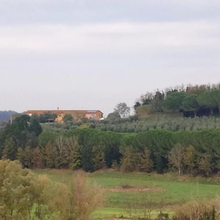 Agriturismo L'Isola Crespina Exterior photo